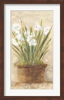 Framed Garden White Narcissus Panel