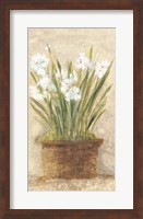 Framed Garden White Narcissus Panel