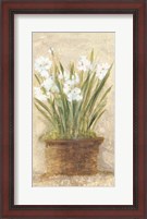 Framed Garden White Narcissus Panel