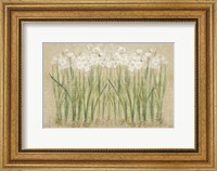 Framed Narcissus Row Cool