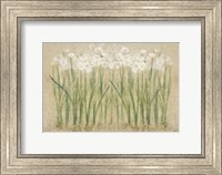 Framed Narcissus Row Cool