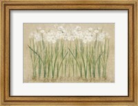 Framed Narcissus Row Cool