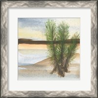 Framed Desert Yucca
