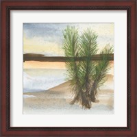 Framed Desert Yucca