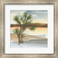 Framed 'Desert Joshua Tree' border=