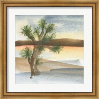 Framed Desert Joshua Tree