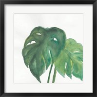 Tropical Palm II Framed Print