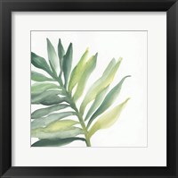 Framed Tropical Palm III