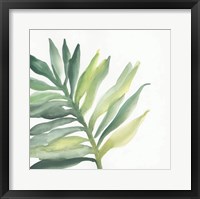 Tropical Palm III Framed Print