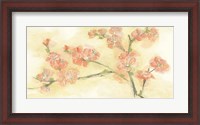Framed Tinted Blossoms II