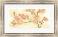 Framed Tinted Blossoms II