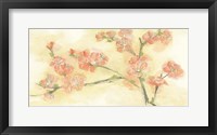 Tinted Blossoms II Framed Print