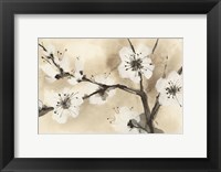 Framed Spring Blossoms I Crop