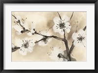 Framed Spring Blossoms I Crop
