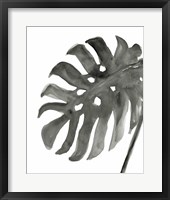 Framed 'Tropical Palm IV BW' border=