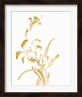 Framed Sumi Daylily II Gold