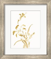 Framed Sumi Daylily II Gold