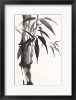 Framed Sumi Bamboo