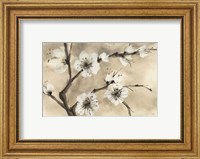 Framed Spring Blossoms IV