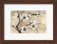 Framed Spring Blossoms IV