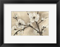 Framed Spring Blossoms III