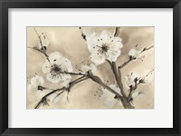 Framed Spring Blossoms III