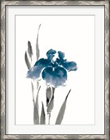 Framed Japanese Iris III Crop Indigo