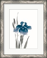 Framed Japanese Iris III Crop Indigo