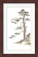 Framed Moon Pine on White