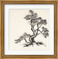 Framed Sumi Tree I