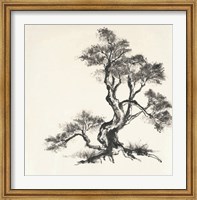 Framed Sumi Tree I