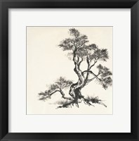 Framed Sumi Tree I