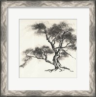 Framed Sumi Tree II