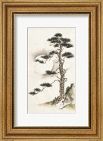 Framed Moon Pine