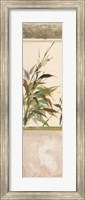 Framed Scrolled Textural Grass IV