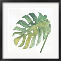 Framed Tropical Palm IV