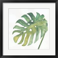 Tropical Palm IV Framed Print