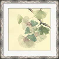 Framed Gingko Leaves II