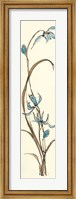 Framed Spring Orchids II