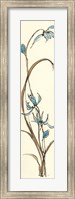 Framed Spring Orchids II