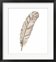 Framed Gold Feathers IX