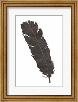 Framed Black Feather V