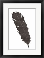 Black Feather V Framed Print