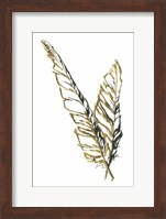 Framed Gilded Raven Feather