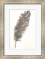 Framed Gold Feathers VII