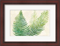 Framed Ferns Square III v2 on Cream