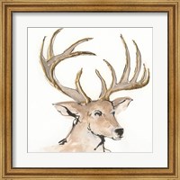 Framed Gilded Mule Deer