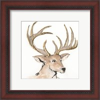 Framed Gilded Mule Deer