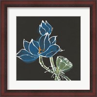 Framed Lotus on Black VII