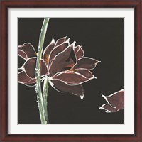 Framed Lotus on Black V
